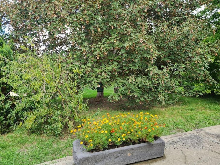 Petit Gite 18 Eme Tout Confort Saint-Germain-des-Fosses Luaran gambar